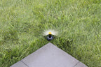 3/4 spray pictured. 