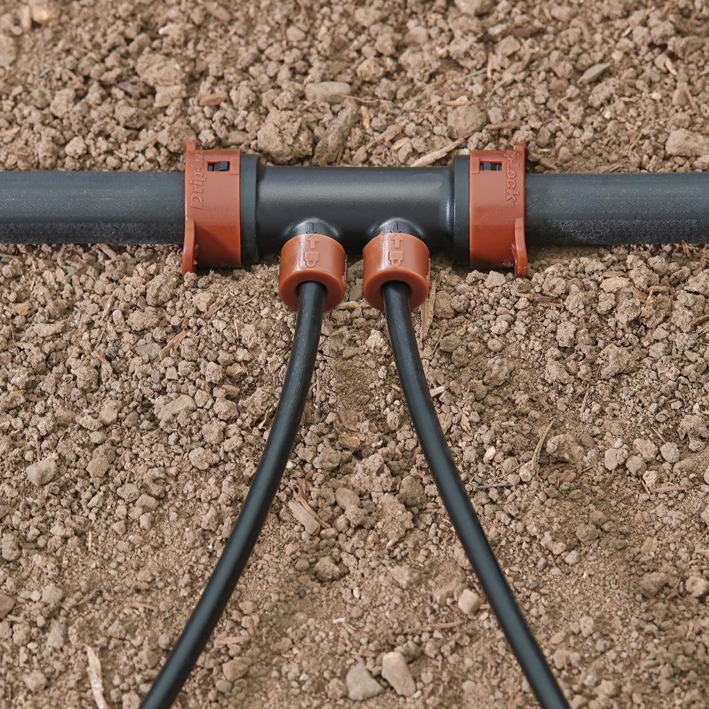 Collecteur d'irrigation goutte à goutte 2 orifices Drip-Lock 1/2" x 1/4" 67046