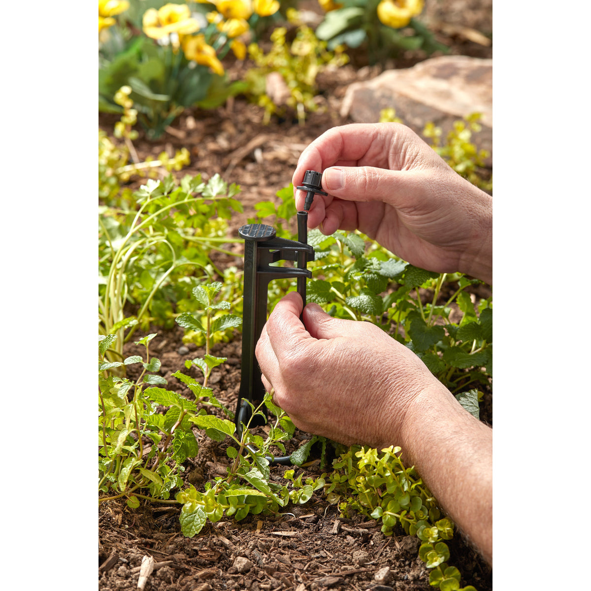 Goutteur d'irrigation goutte à goutte à barbillons 1/4 po multijet, paquet de 10 | 67100