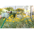 Person watering yellow flowers with a garden hose and spray nozzle.