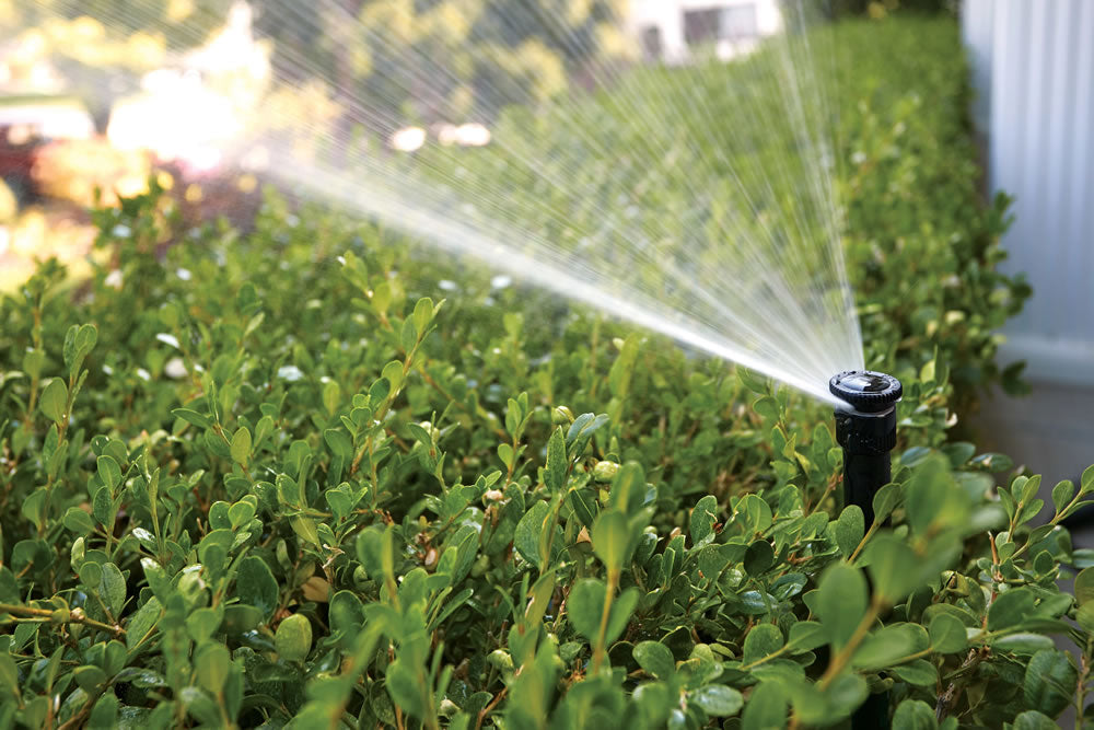 3/8 In. Mist SxSxS Tee – Orbit Irrigation Canada